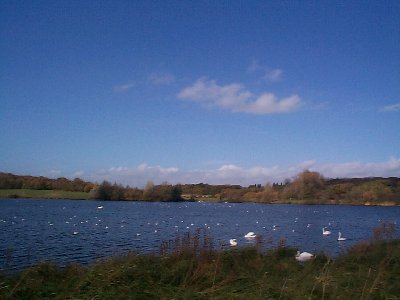 Cosmeston Lakes Country Park